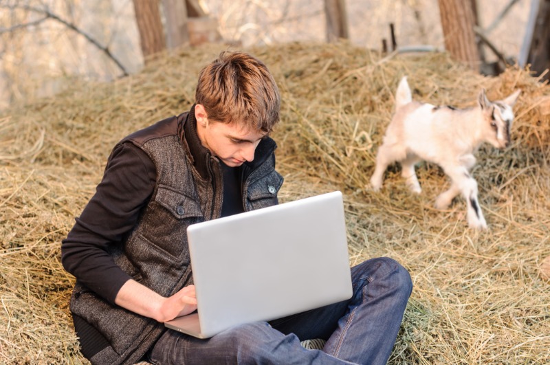 Man using laptop with goat in the background